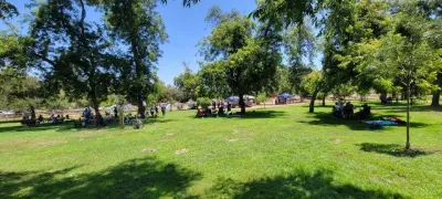 4th of July Picnic 2022, photo 42 of 44